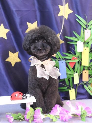 20230708ラブくん